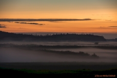 Nebel steigt aus dem Sumpf-8106894_ergebnis