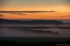 Nebel steigt aus dem Sumpf-8106894_ergebnis